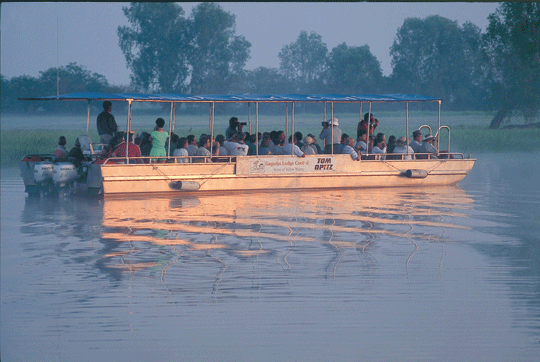 Yellow-Water-billabong cruise