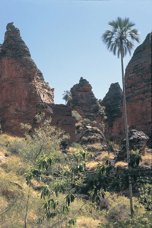 Nigli Gap Keep River National-Park-Dome-formations Livistonia Palms