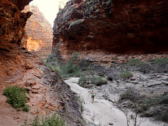 Purnulula National Park (Bungle Bungle) walks