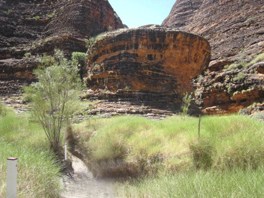 Purnulula National Park (Bungle Bungle) walks