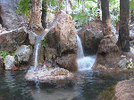 El Questro  cattle station and Zebedee Springs