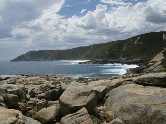 Albany Coastline