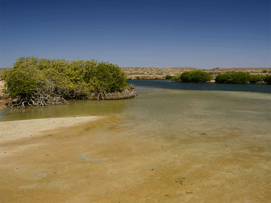 Photo's  Ningaloo area - Exmouth Beach Region supplied by friends