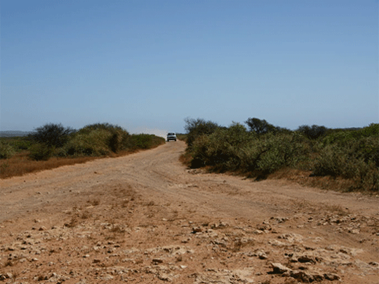 Photo's  Ningaloo area - Exmouth Beach Region supplied by friends