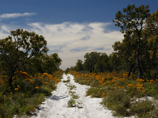 Moore River National Park holiday 