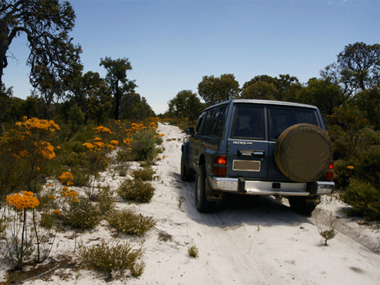 Moore River  National park