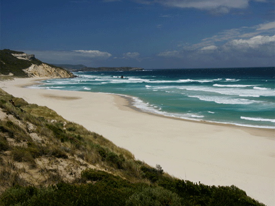 Albany Coast holiday