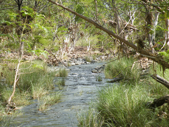 Victoria River estuary