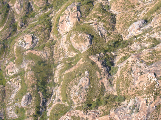 bungle bungles