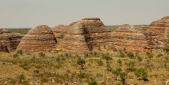 bungle bungles afox