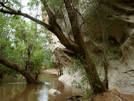 Windjana Gorge hikes and walks - mbouwer 2008