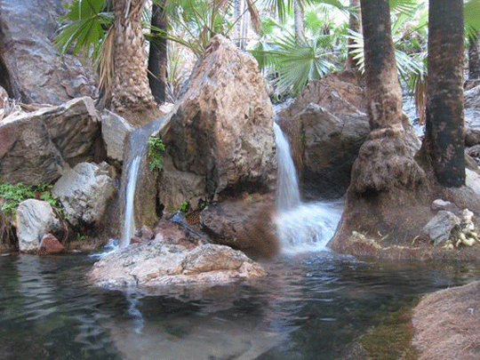 Zebedee Springs